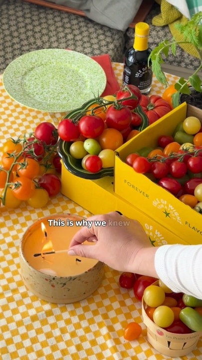 Ad 658, Tomato founder voiceover